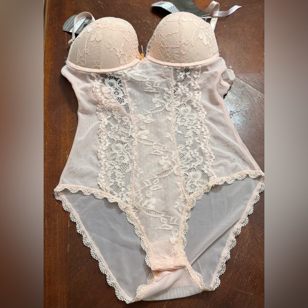 Daisy Fuentes Lace Bodysuit in Soft Pink